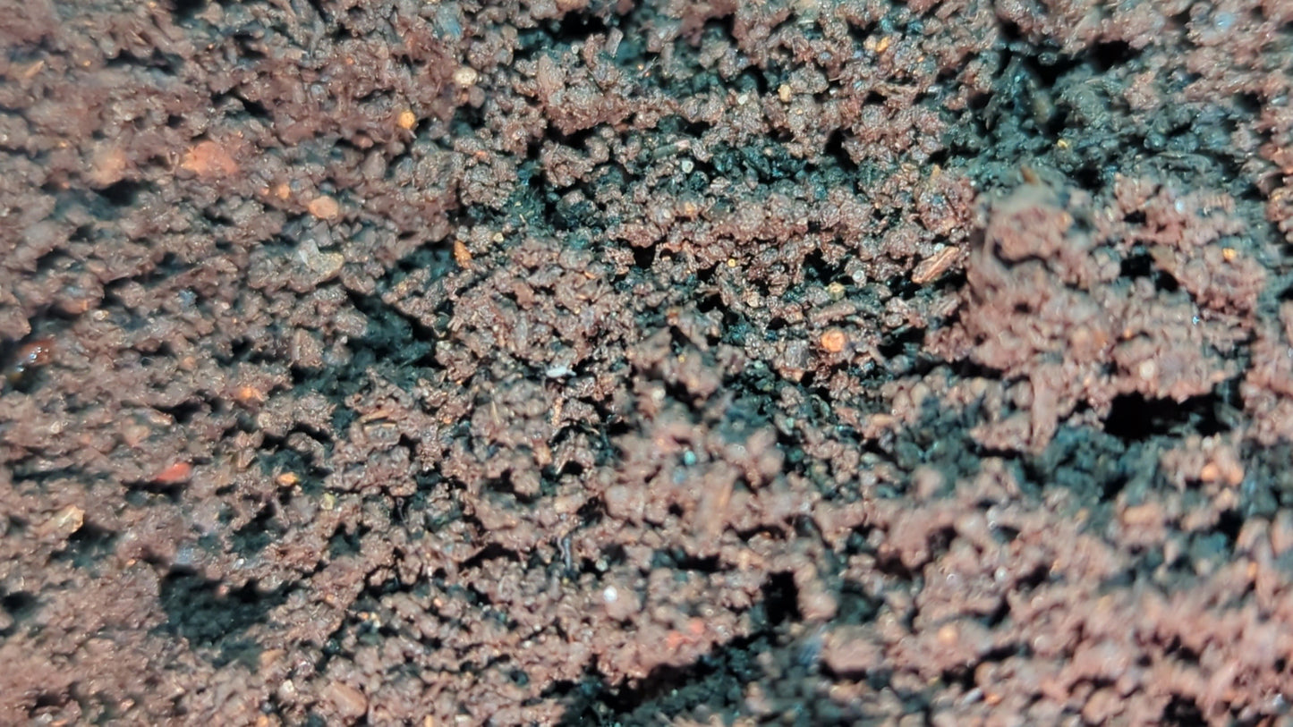 1 gallon of Worm Castings
