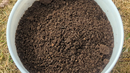1 gallon of Vermicompost