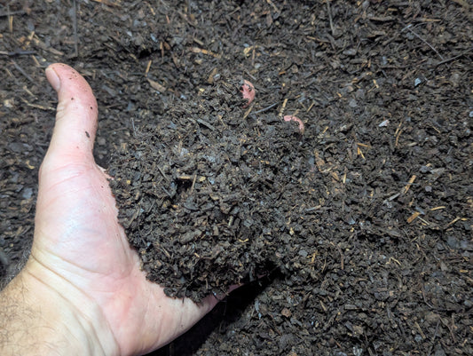 1 gallon of screened Compost